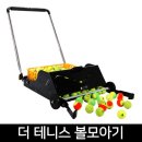 테니스