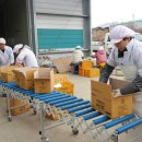 솔뫼농장 이미지