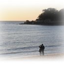 겨울바다 이미지