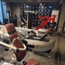 노경우 퍼스널 트레이닝 이미지