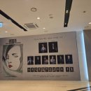가든썸꽃식물작업실 | 260502 렘피카 자둘후기