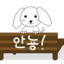 프리티파우 이미지