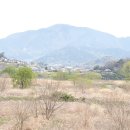 낙동강변27 이미지