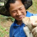 무영농장 이미지