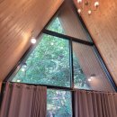 석적읍사무소 | 칠곡 송정자연휴양림 삼각집 물푸레나무 내돈내잠 찐후기 (장/단점)