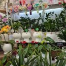 칠성남로 이미지