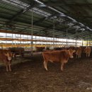 소영농장 이미지