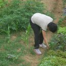 현수농장 이미지