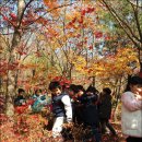 서문유치원 이미지