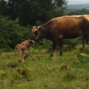 강민목장 이미지