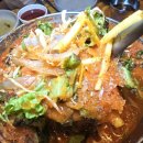 오징어 세상 이미지