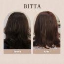 빛빗다