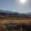 수피아민박 이미지