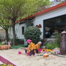 철마초등학교병설유치원 이미지