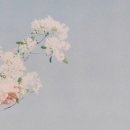 따뜻한한의원 이미지