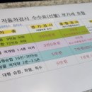 현대대명모터스 이미지