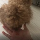 김민재동물병원 이미지