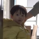 비주얼카 이미지