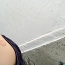 방서서울가정의학과의원 | 서울가정의학과 독감 예방접종 후기, 망원동 독감주사 가격, 진료 시간