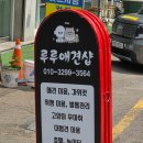 루루애견샵
