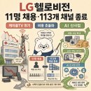 (LG헬로비전;지역케이블방송;알뜰초고속인터넷신규가입센터 | LG헬로비전 기업분석, 신규채용 11명과 113개 채널 종료가 보여준 케이블TV 위기