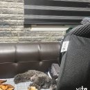 해남동물병원 이미지