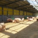 가나안농장 이미지