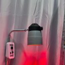 성모마취통증의학과의원 이미지