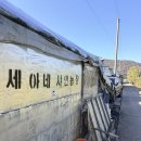 세아농장 | [경남 진주] 아이와 가볼만한 곳 샤인머스켓 수확체험 세아네 샤인농장