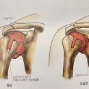 팀스톤짐 이미지