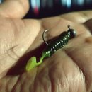 살랑더테일 이미지