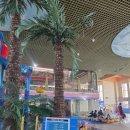 오창로하스파 | 청주 핫플 오창 로하스파 워터파크 아이들 방학 물놀이 장소 추천🏝🍃