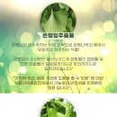 건강브이아이피