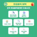 홀릭3