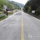 도깨비도로 네이버블로그