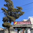 소문난해장국 | 천안 내돈내산 맛집 소문난 성환뚝배기해장국 솔직후기