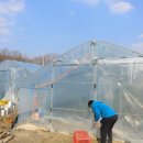 천남농장 이미지