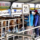 남원읍-66 이미지