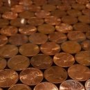 스테이 종이와 나무 이미지