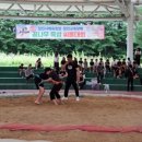 당진씨름장 이미지