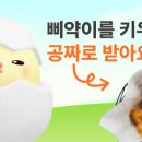(주)두잇