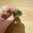 365봄한의원 이미지