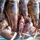 거성냉장 이미지