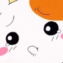 다올가든 이미지