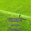 4월, 봄날에 읽기 좋은 시 - 봄날 / 안재식 이미지