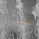 자연농원 - 논산시 가야로 101-25 | 자연농원