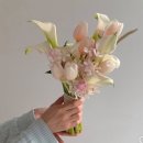 드레스네일 | 본식후기. 웨딩드레스/웨딩헤어/웨딩네일/웨딩홀/웨딩부케 (석미송웨딩, 퀸벨호텔프라임홀, 다희네일...