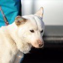 대길주유소 이미지