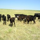 용태목장 이미지