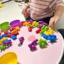 한교육타이거합기도장앞 | 숫자·색깔 놀이 추천! 마이리틀타이거 동물수세기 솔직 후기